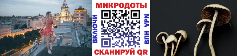 Псилоцибиновые грибы MAGIC MUSHROOMS  Купить где  Жердевка 